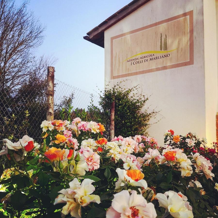 Azienda Agricola I Colli Di Marliano Lastra a Signa Exterior photo